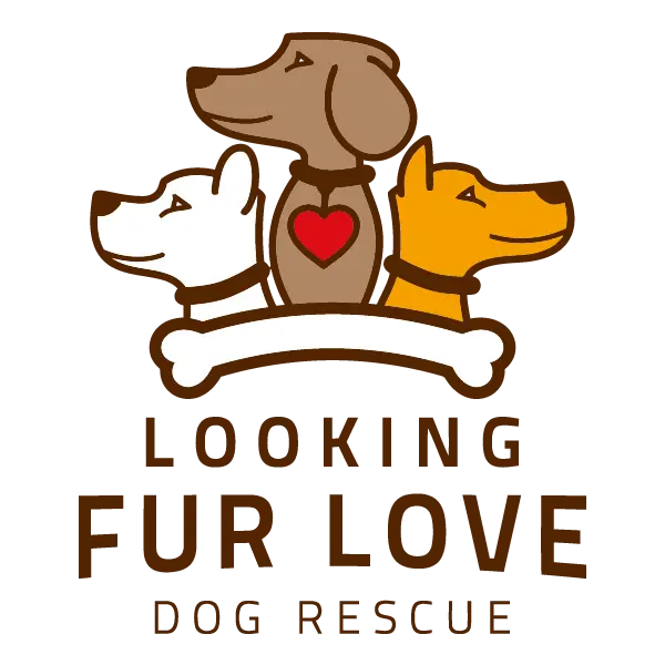 looking fur love gulf south technology solutions partner